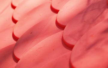 Higher Walton plastic roof costs